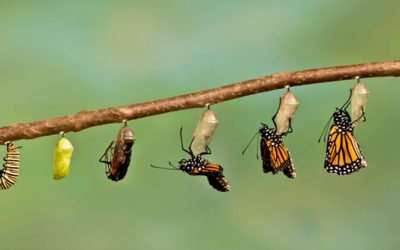 A transformational journey – writers and aspiring authors this one’s for you!
