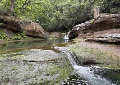 2026 Wild Swim and Yoga Retreat